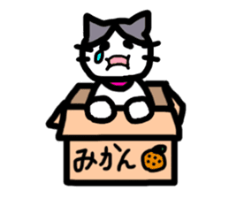 sakaguchi asari sticker #11158939