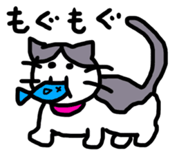 sakaguchi asari sticker #11158945