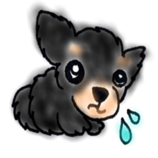 prettydog sticker #11159367