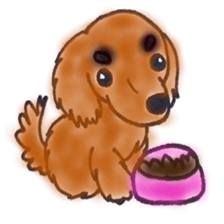 prettydog sticker #11159371