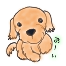 prettydog sticker #11159372