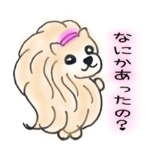 prettydog sticker #11159376