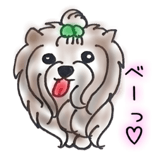 prettydog sticker #11159390