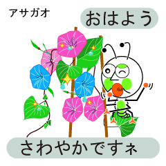 unusual and unique language of flowers