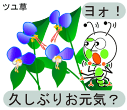 unusual and unique language of flowers sticker #11159661