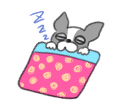 Everyday of Boston Terrier sticker #11159681