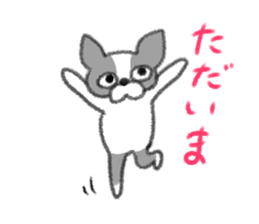 Everyday of Boston Terrier sticker #11159682