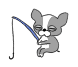 Everyday of Boston Terrier sticker #11159683