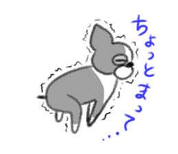 Everyday of Boston Terrier sticker #11159684