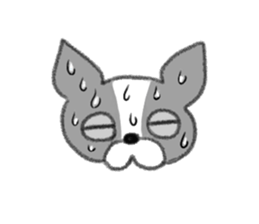 Everyday of Boston Terrier sticker #11159685