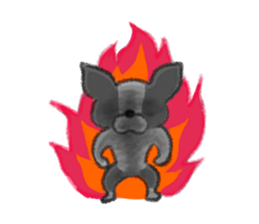 Everyday of Boston Terrier sticker #11159691