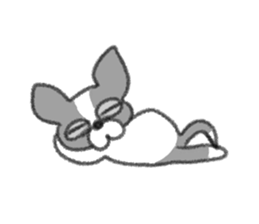 Everyday of Boston Terrier sticker #11159696