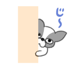 Everyday of Boston Terrier sticker #11159697