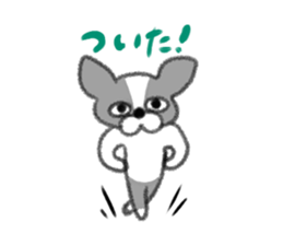 Everyday of Boston Terrier sticker #11159698