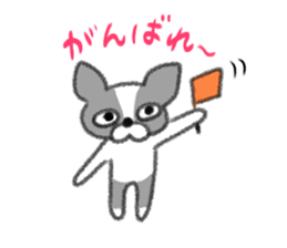 Everyday of Boston Terrier sticker #11159702