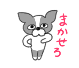 Everyday of Boston Terrier sticker #11159705