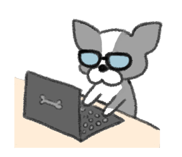 Everyday of Boston Terrier sticker #11159706