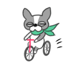 Everyday of Boston Terrier sticker #11159711