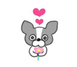 Everyday of Boston Terrier sticker #11159712