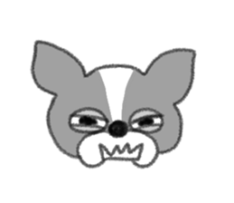 Everyday of Boston Terrier sticker #11159713