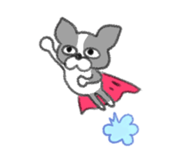 Everyday of Boston Terrier sticker #11159714