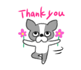 Everyday of Boston Terrier sticker #11159715