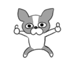 Everyday of Boston Terrier sticker #11159717