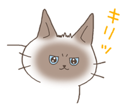 chocogorone and Best buddies sticker #11160820