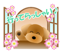 Cute! Toy Poodle sticker #11163693