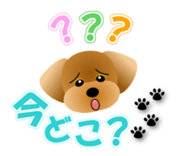 Cute! Toy Poodle sticker #11163700
