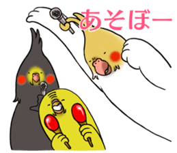 Creatures such as the cockatiel 4 sticker #11164288