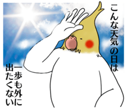 Creatures such as the cockatiel 4 sticker #11164293