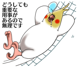 Creatures such as the cockatiel 4 sticker #11164295