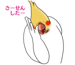 Creatures such as the cockatiel 4 sticker #11164308