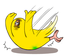 Creatures such as the cockatiel 4 sticker #11164313