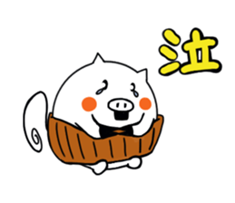 belly band pig "tonbei" sticker #11166989