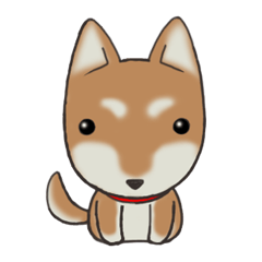 Feeling expression of a Shiba dog