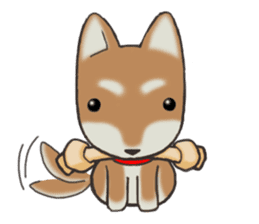 Feeling expression of a Shiba dog sticker #11169712
