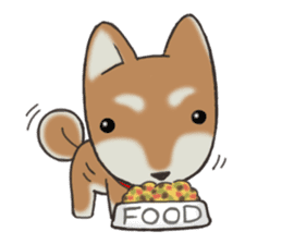Feeling expression of a Shiba dog sticker #11169714