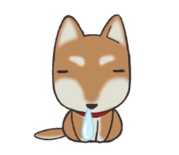 Feeling expression of a Shiba dog sticker #11169716