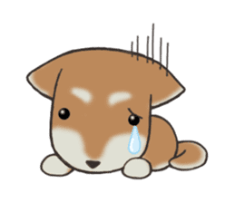 Feeling expression of a Shiba dog sticker #11169719