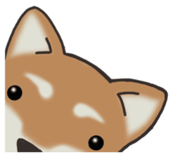 Feeling expression of a Shiba dog sticker #11169720