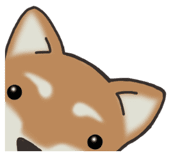 Feeling expression of a Shiba dog sticker #11169720