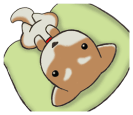 Feeling expression of a Shiba dog sticker #11169721
