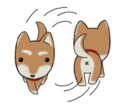 Feeling expression of a Shiba dog sticker #11169733