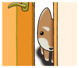 Feeling expression of a Shiba dog sticker #11169738