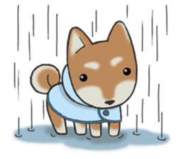 Feeling expression of a Shiba dog sticker #11169741