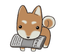 Feeling expression of a Shiba dog sticker #11169742