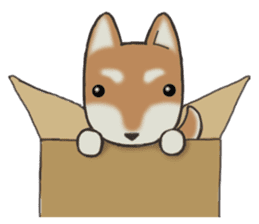 Feeling expression of a Shiba dog sticker #11169743