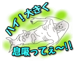 UMA(yu-u-ma) tweet sticker #11170400